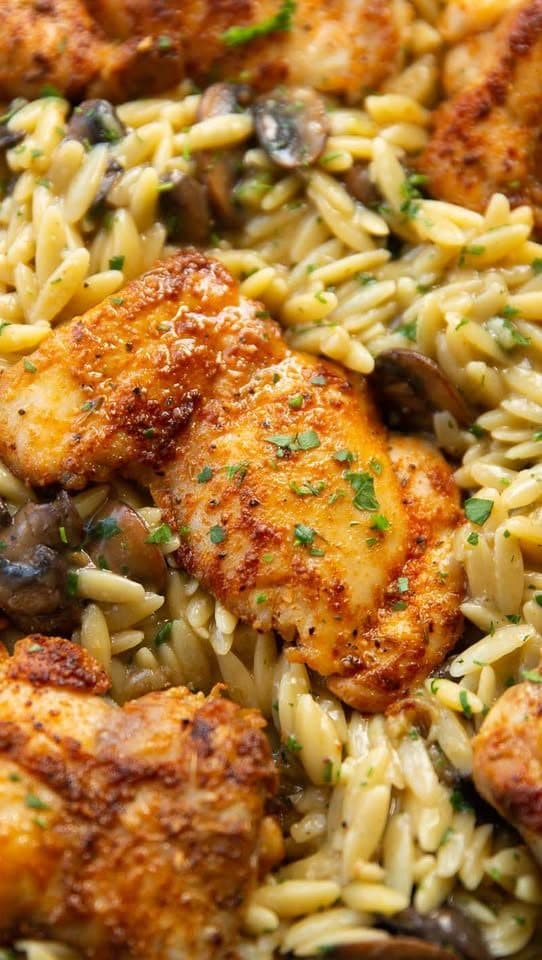 Chicken and Mushroom Orzo