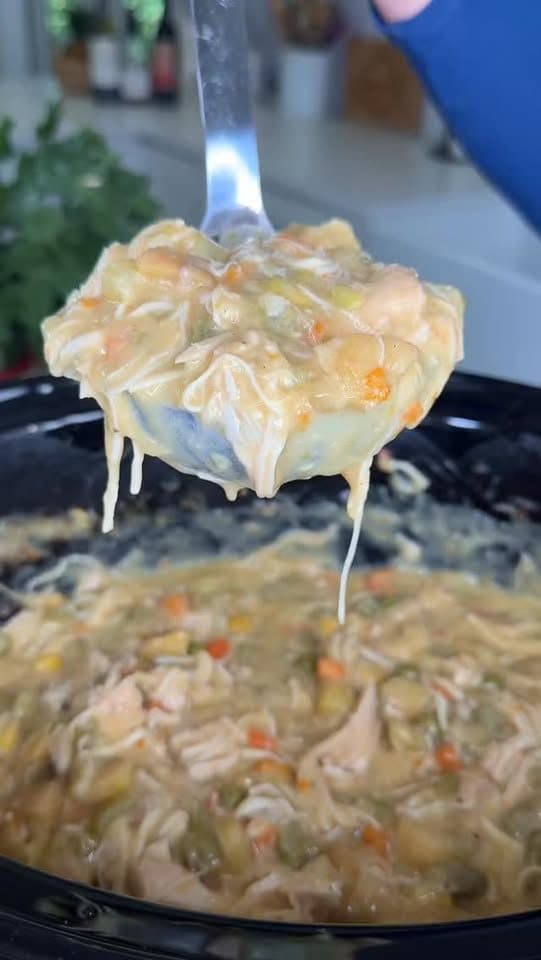 Crockpot Creamy Chicken & Biscuits