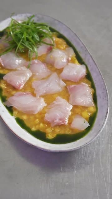 Crudo de Daurade, Tomate, Nectarine & Huile de Feuilles de Figuier
